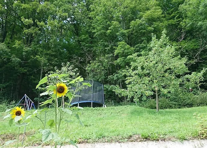Huebsche Ferienwohnung Im Herzen Des Schwarzwalds